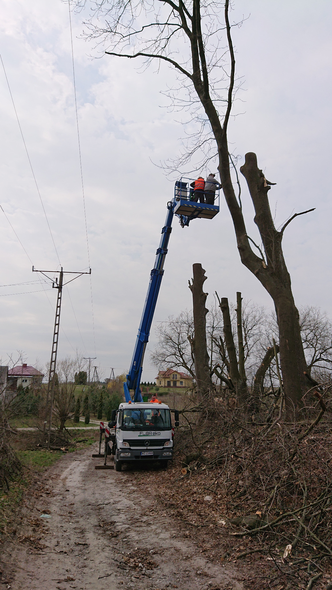 Dwóch pracowników w pomarańczowych kamizelkach na podnośniku koszowym przycina gałęzie drzewa, widoczny stos pociętych gałęzi i zrębków na poboczu drogi polnej oraz ciężarówka z podnośnikiem.