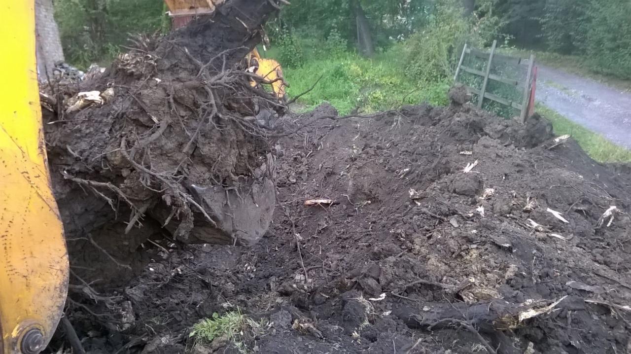 Żółta koparka z wykopanym pniem drzewa pełnym ziemi i korzeni, obok sterta ziemi i w tle zielone drzewa i ścieżka.