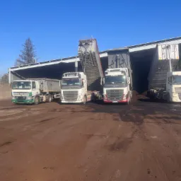 Cztery ciężarówki wywrotki, różne marki, w trakcie rozładunku pod zadaszeniem. Widoczne ślady opon na ziemi i błękitne niebo w tle. Dzień słoneczny.