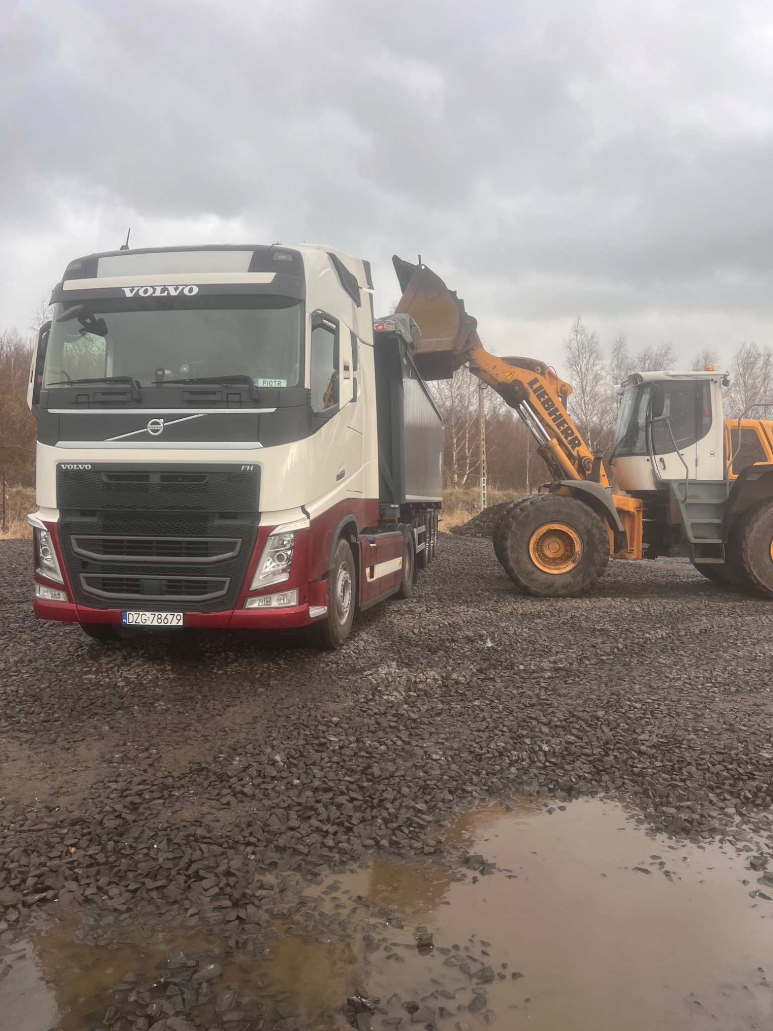 Żółta ładowarka Liebherr nabiera materiał do naczepy ciężarówki Volvo na żwirowym podłożu. Pochmurne niebo w tle, widoczne drzewa bez liści.