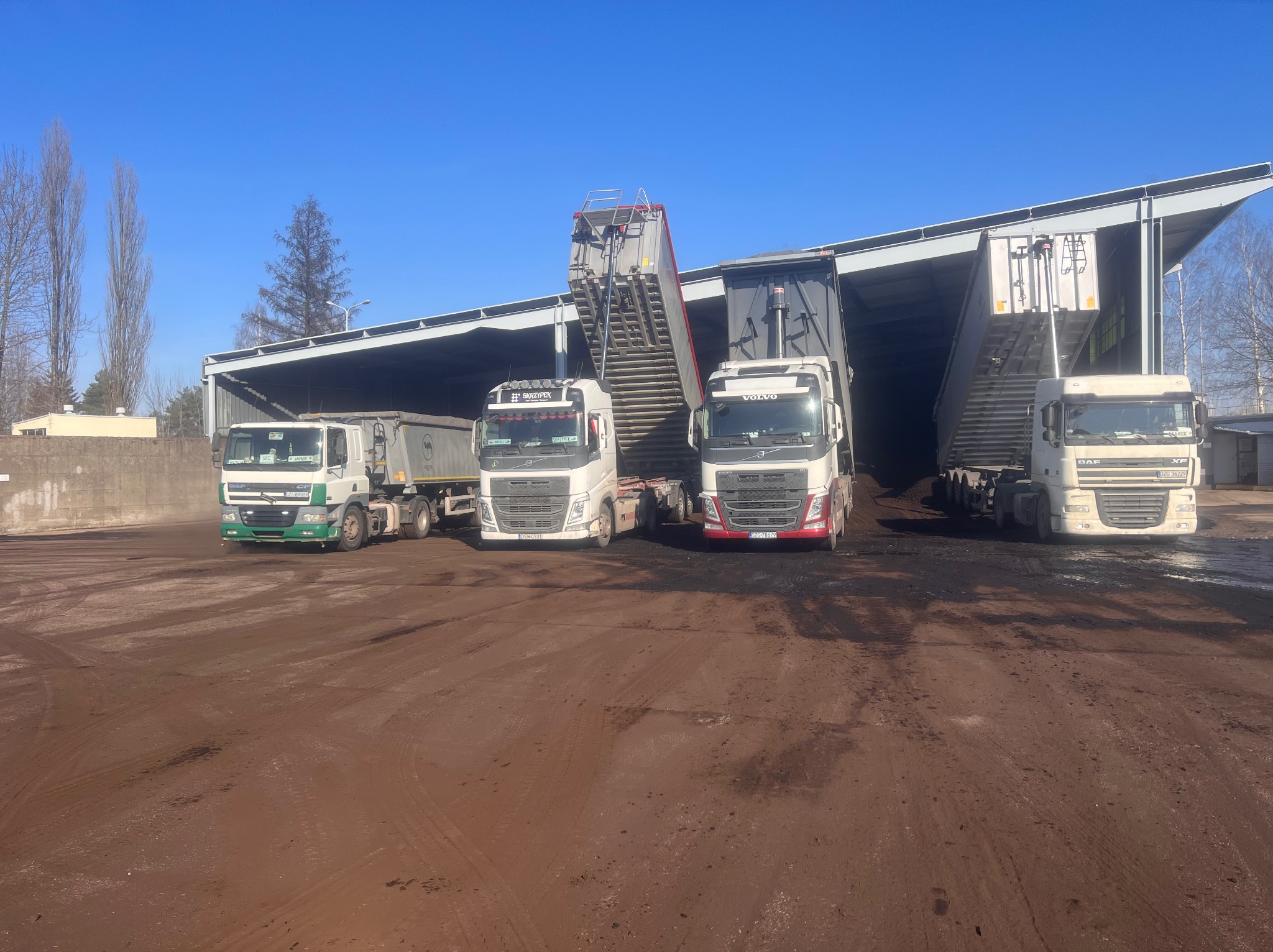 Cztery ciężarówki wywrotki, różne marki, w trakcie rozładunku pod zadaszeniem. Widoczne ślady opon na ziemi i błękitne niebo w tle. Dzień słoneczny.