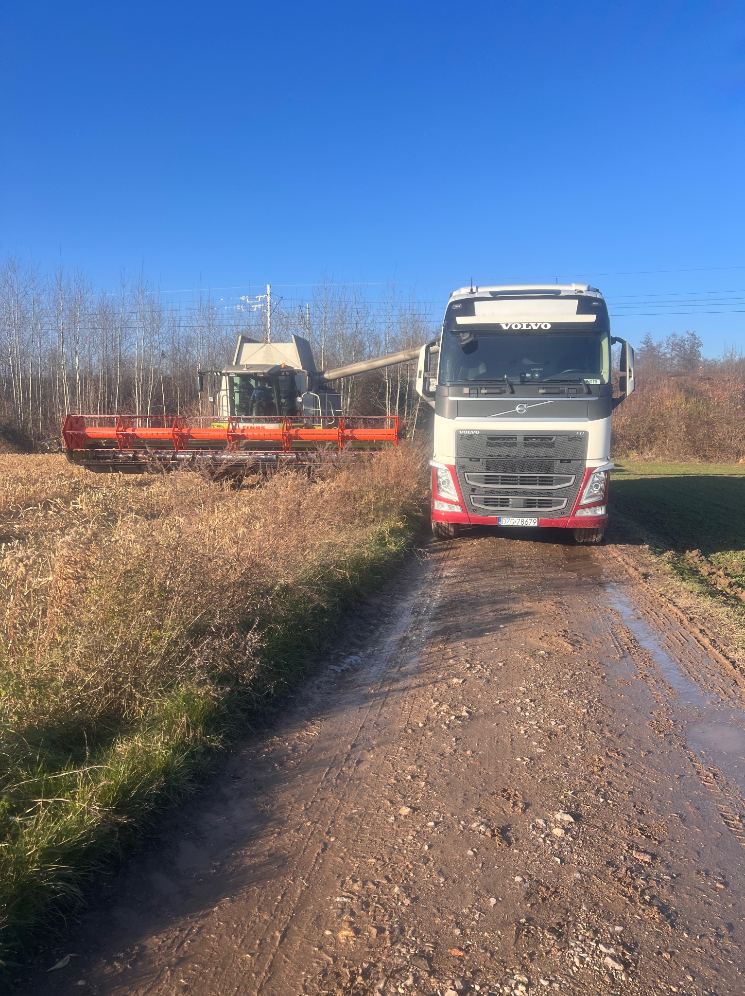 Ciężarówka Volvo na błotnistej drodze polnej, kombajn zbożowy w tle, błękitne niebo. Transport płodów rolnych.