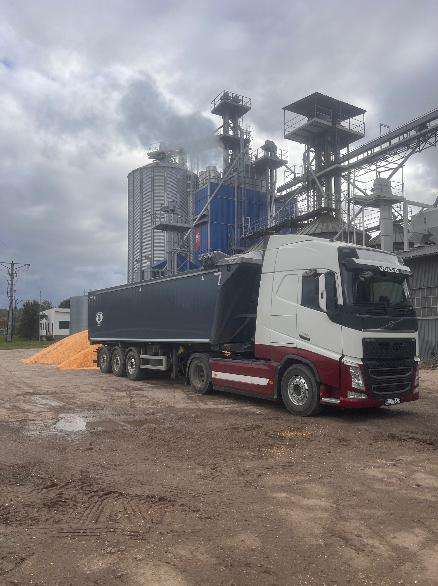 Ciężarówka Volvo FH wyładowuje kukurydzę na tle przemysłowego elewatora zbożowego w pochmurny dzień. Widoczne ślady opon na ziemi i silosy w tle.