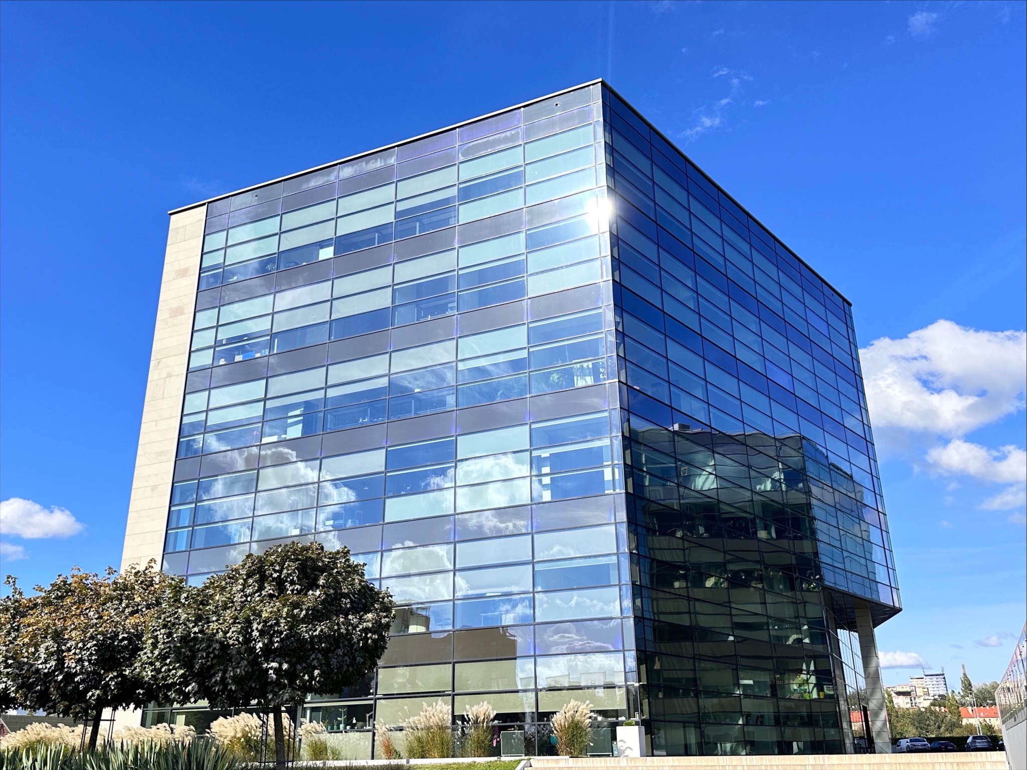 Nowoczesny budynek biurowy z fasadą ze szkła refleksyjnego, odbijającą błękitne niebo i chmury, z widoczną roślinnością na pierwszym planie.