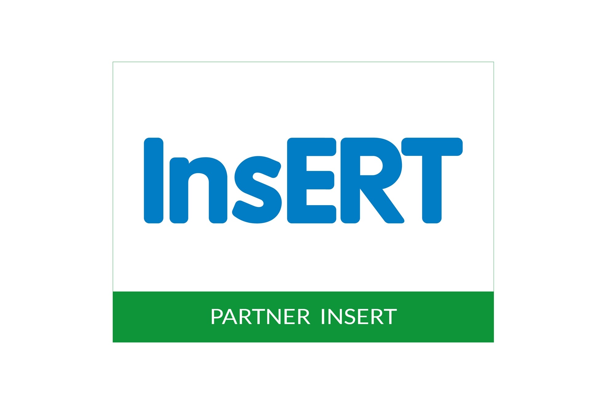 Logo firmy InsERT, niebieski napis na białym tle, poniżej zielony pasek z białym napisem PARTNER INSERT.