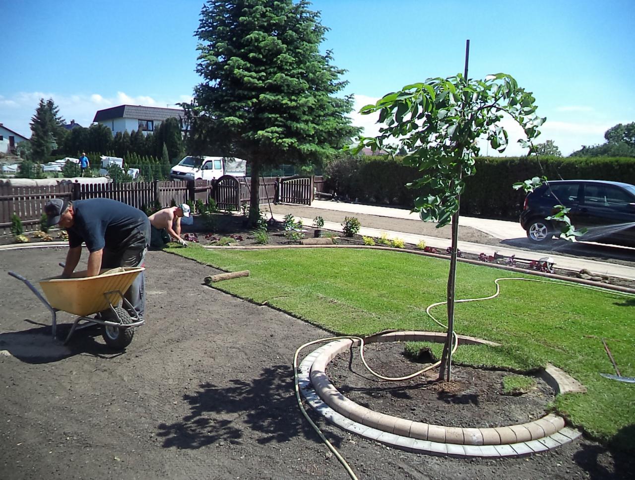 układanie trawnika z rolki