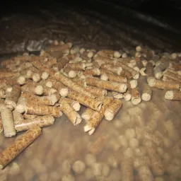 Jasne, cylindryczne bryłki z widoczną strukturą drewna, rozsypane na przezroczystej folii, z ciemnym tłem.