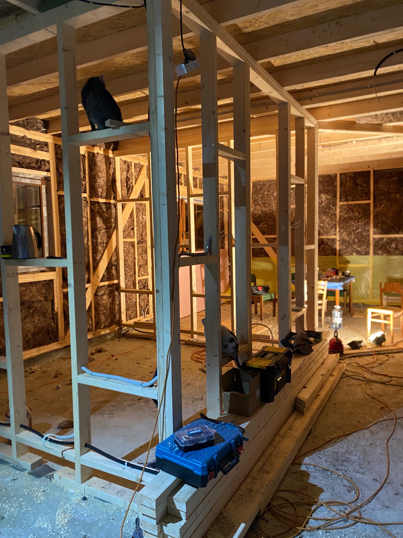 Wnętrze domu w trakcie budowy szkieletowej: drewniana konstrukcja, izolacja z wełny mineralnej, narzędzia i kot na belce. Widoczne okno i fragment umeblowanego pomieszczenia w tle.