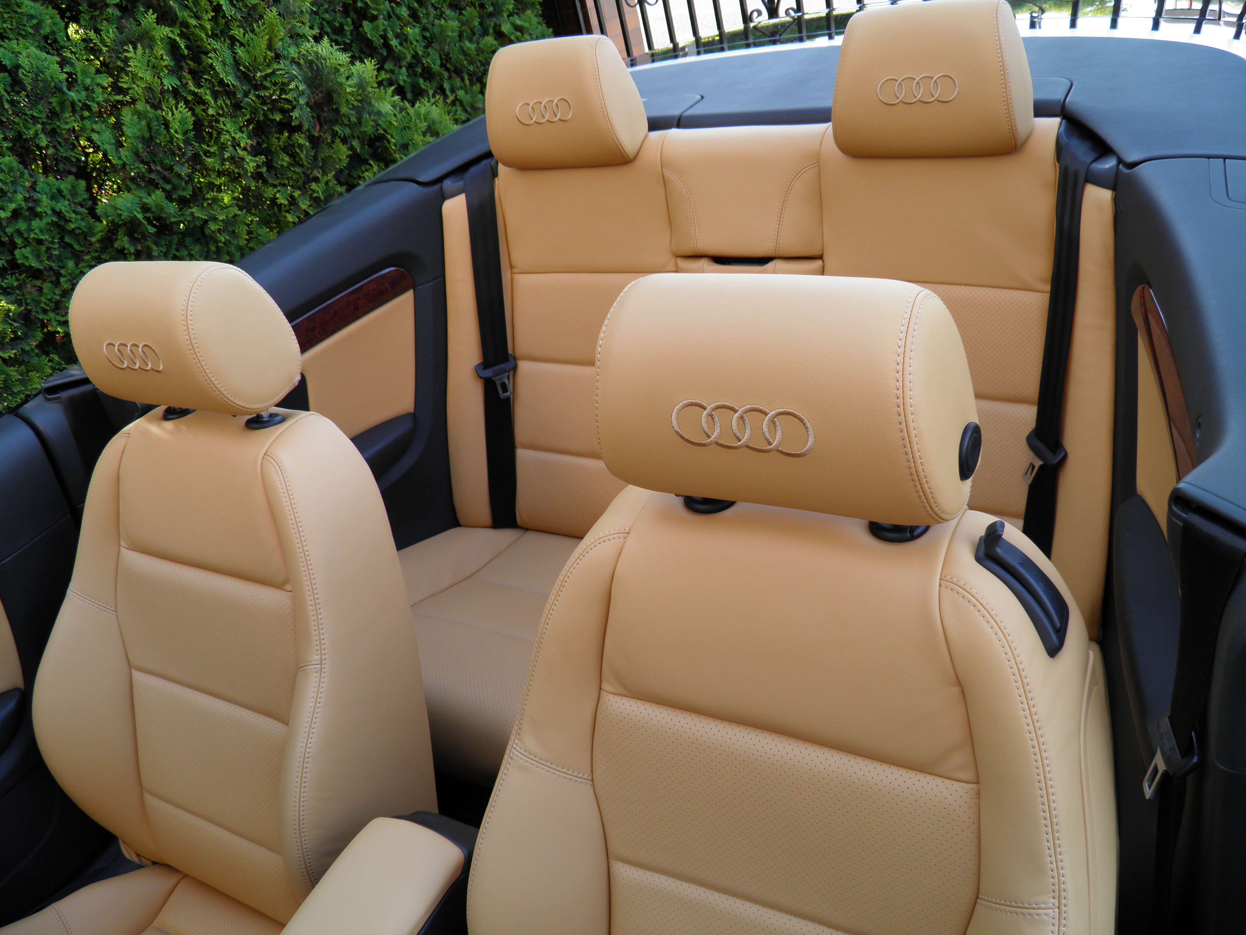Beżowa, skórzana tapicerka samochodowa w kabriolecie Audi, z detalami perforowanej skóry i logo marki na zagłówkach. Widok na tylne siedzenia na tle zieleni.