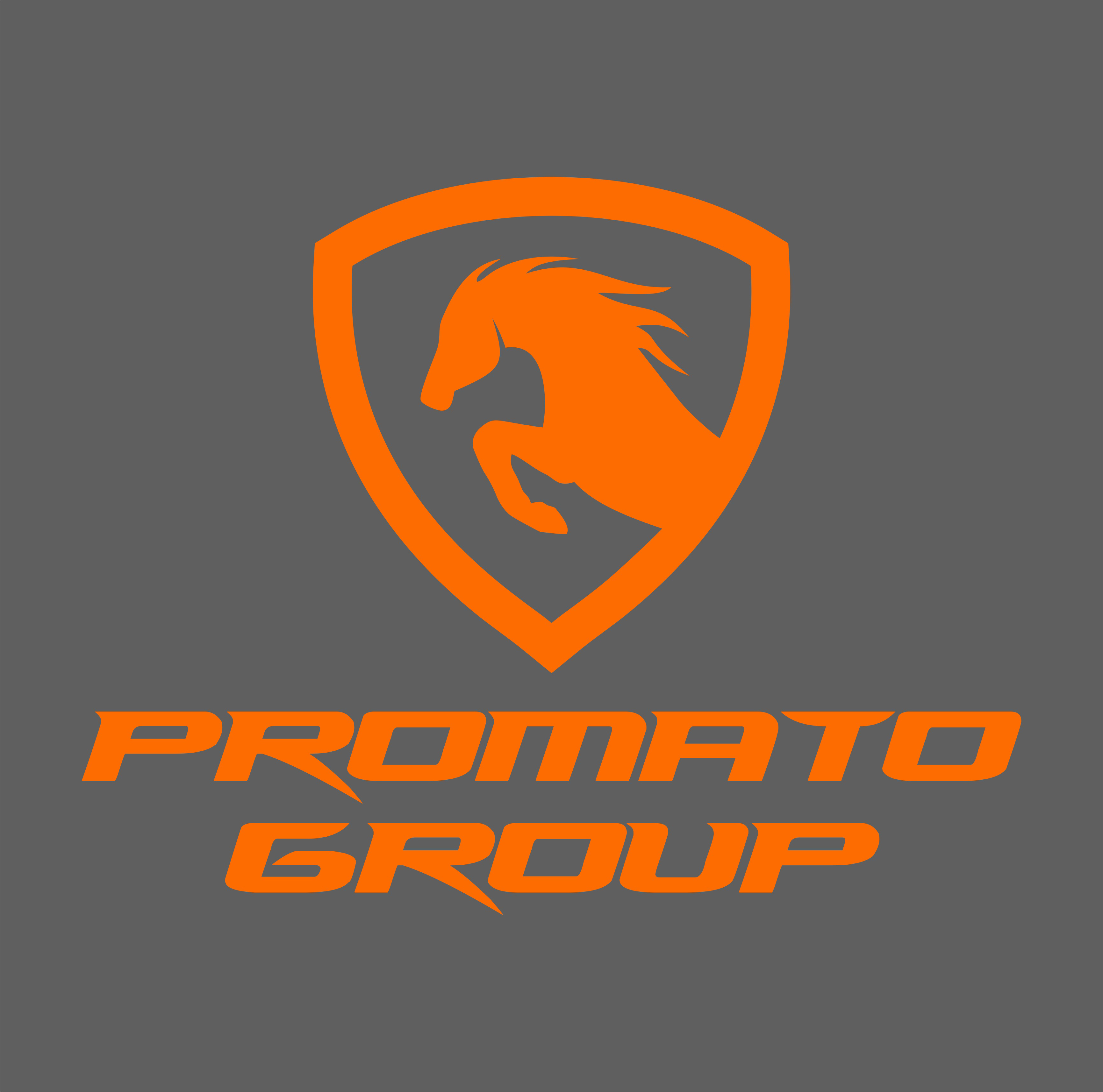 Pomarańczowe logo 'Promato Group' na szarym tle, przedstawiające konia w tarczy. Dynamiczny, nowoczesny design.