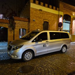 Robert lrzeński TAXIBUSIK - Firma Przewozowa Szyce