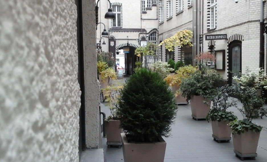Urokliwe podwórko kamienicy z roślinami w donicach i szyldem 'Nieruchomości', oświetlone wiszącymi lampami, tworzące przyjemną przestrzeń miejską.