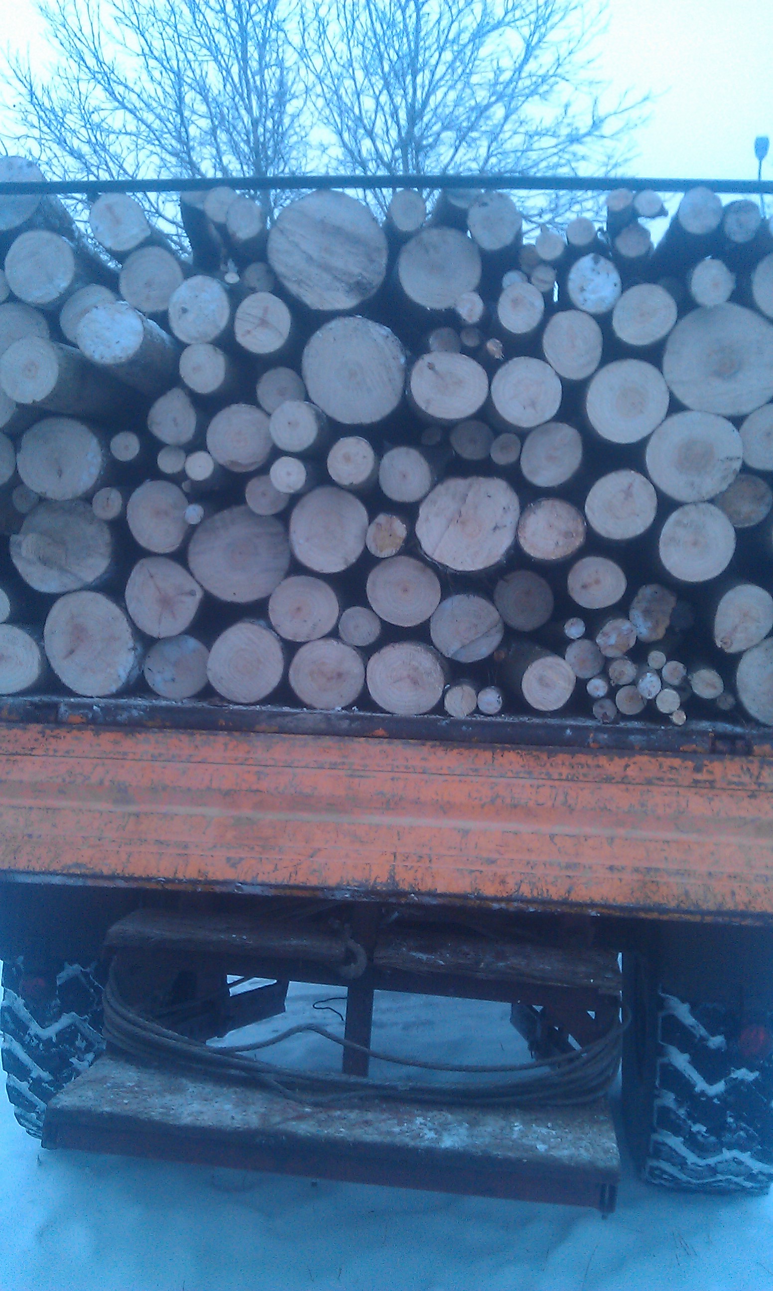 Załadunek drewna na pomarańczową ciężarówkę w Żywcu. Widoczne pnie drzew różnych rozmiarów i ośnieżone opony. W tle drzewa bez liści i zimowa sceneria.