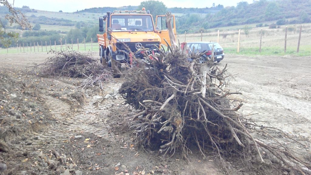 Żółta koparka Unimog z otwartymi drzwiami, sterta korzeni i gałęzi na polu, w tle wzgórza i częściowo widoczny samochód osobowy.