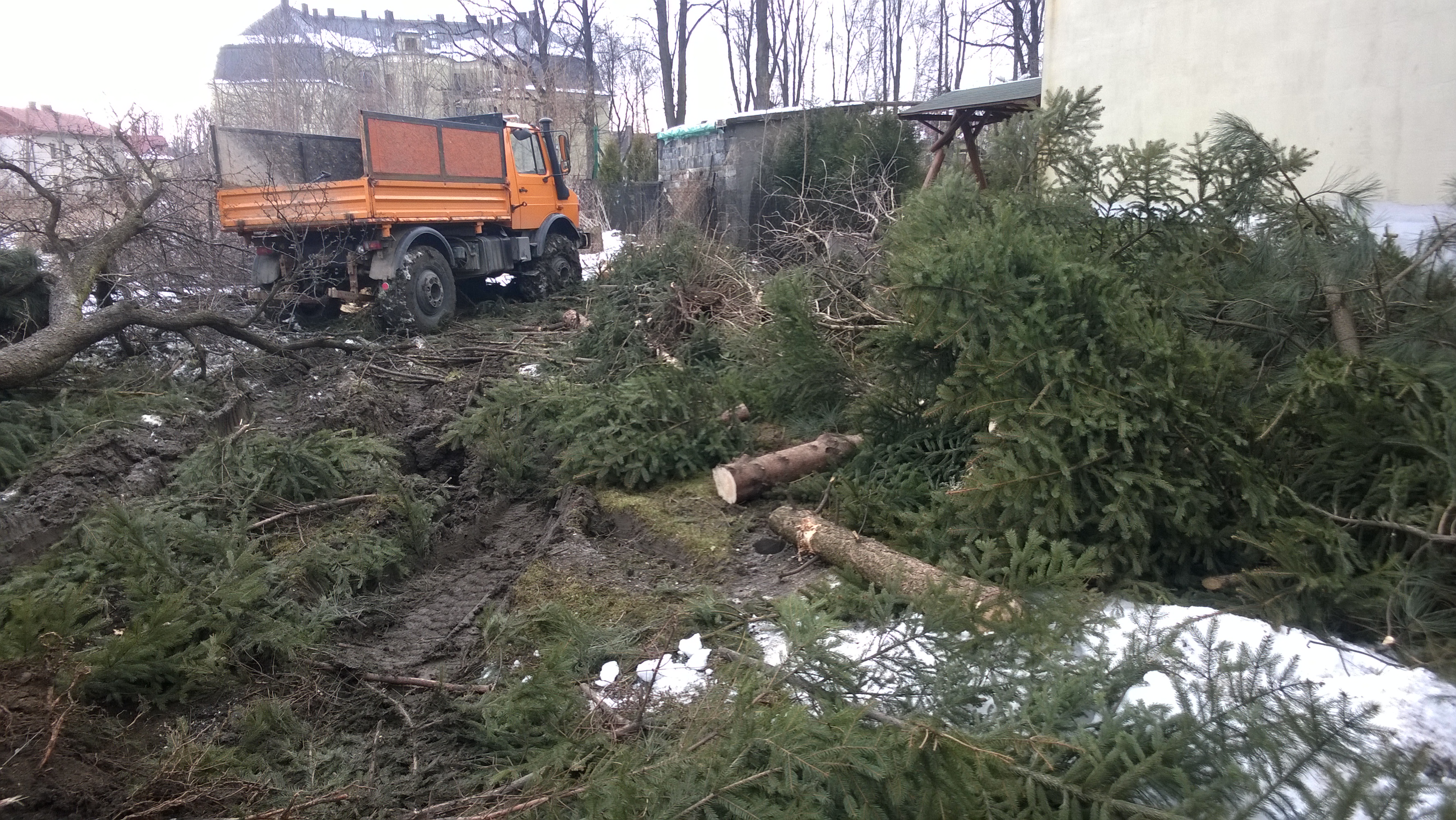 Pomarańczowy Unimog na błotnistym terenie po wycince drzew, z widocznymi gałęziami i pniakami. W tle budynki mieszkalne i resztki śniegu.