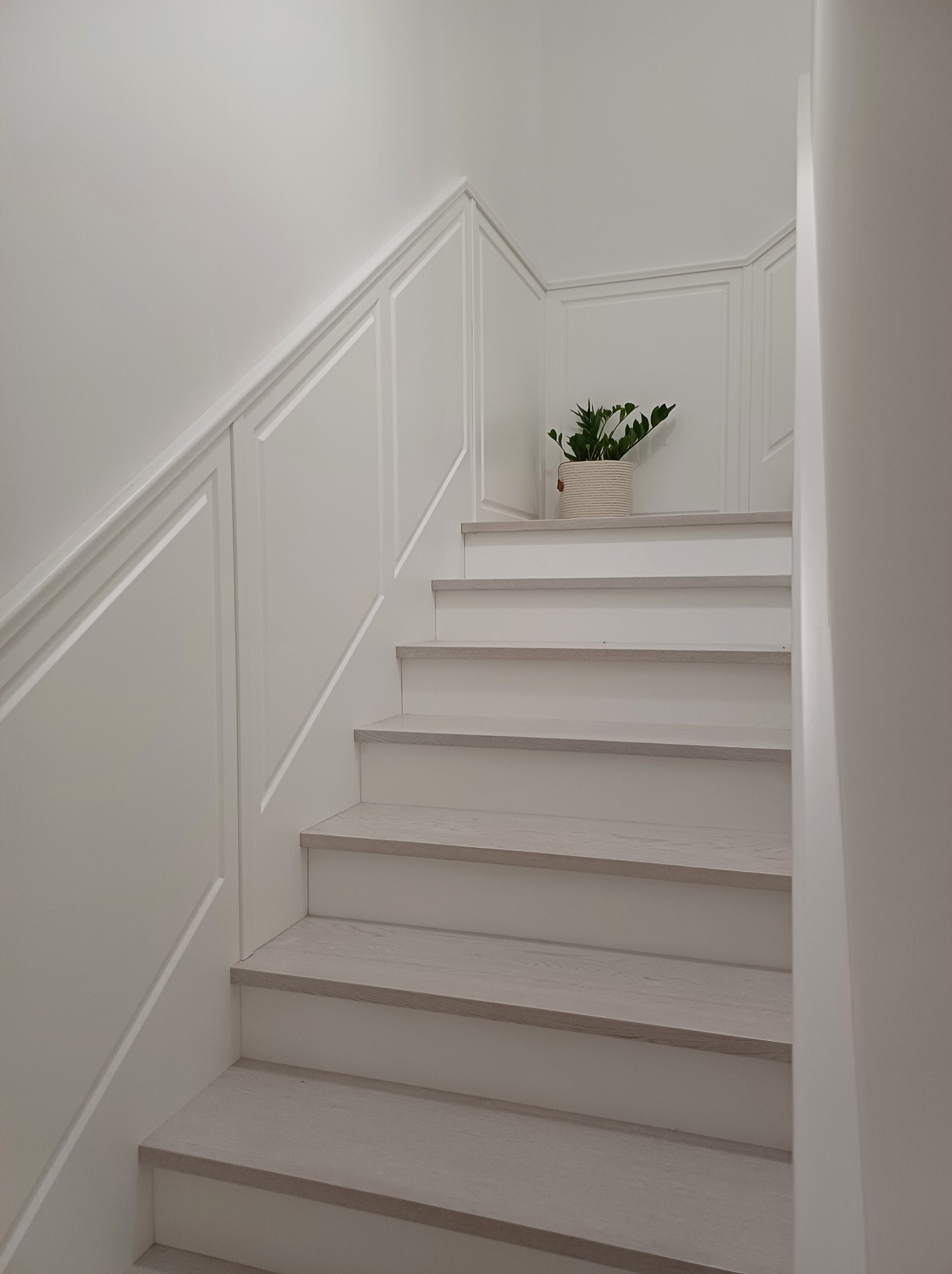 Nowoczesne, białe schody z drewnianymi stopniami w jasnym odcieniu, dekoracyjne panele ścienne i roślina doniczkowa na górnym stopniu.