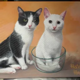 Portret olejny dwóch kotów: czarno-białego siedzącego obok szklanej miski, w której siedzi biały kot, na pomarańczowym tle. Widoczny napis 'Pastelowy Portret' w prawym dolnym rogu.