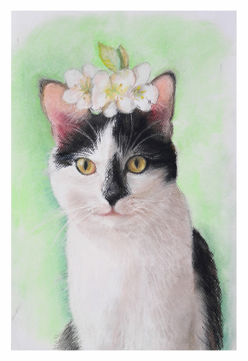 Portret czarno-białego kota z wiankiem z białych kwiatów na głowie, wykonany pastelami na zielonym tle.