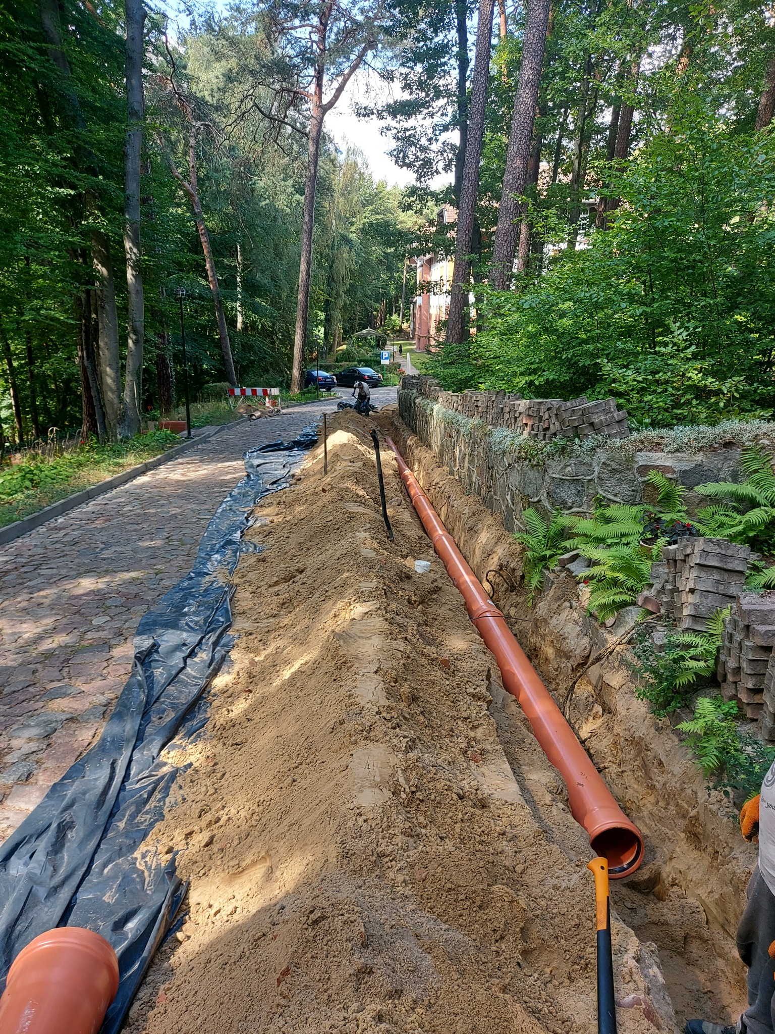 Wykop w ziemi z ułożoną rurą kanalizacyjną w trakcie prac instalacyjnych na tle brukowanej ścieżki i zieleni drzew