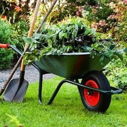 Usługi Remontowe - Strzyżenie Traw Poznań