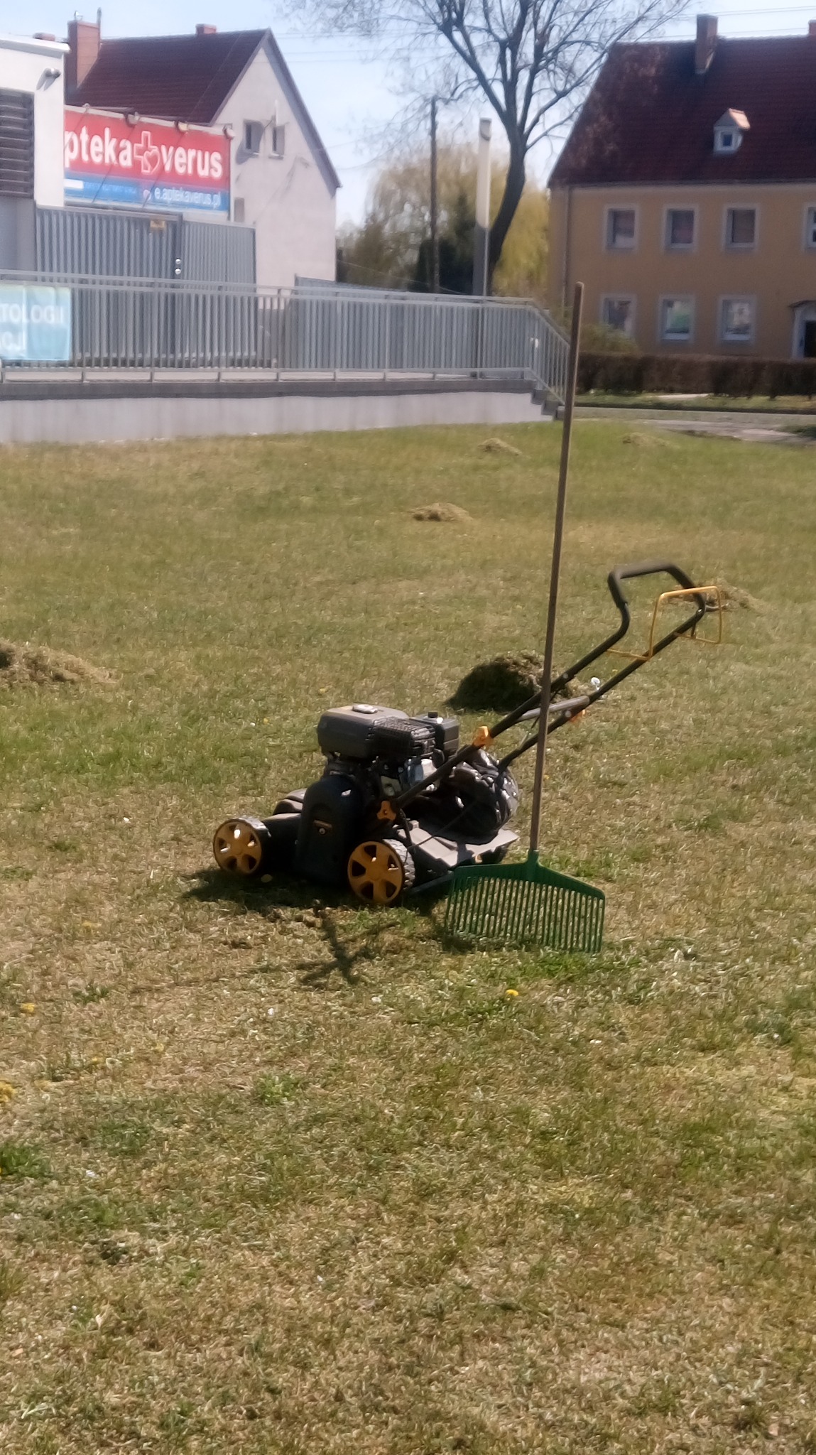 Kosiarka spalinowa z grabiami na trawniku przed budynkiem apteki. Świeżo skoszona trawa w kupkach. Prace ogrodowe w słoneczny dzień.