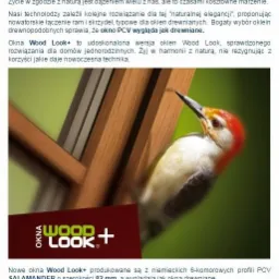 Okno z imitacją drewna z siedzącym na nim dzięciołem, widoczne logo 'Okna Wood Look+'.