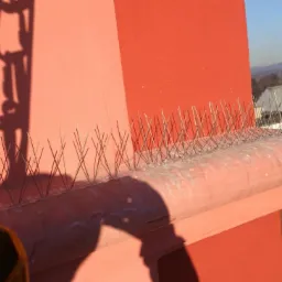 Montaż zabezpieczeń przeciw ptakom