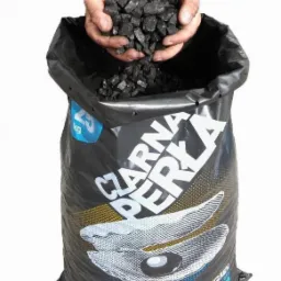 Czarny worek 25 kg z węglem „Czarna Perła” trzymanym w dłoniach. Widoczny napis „Węgiel z pierwszej ręki”.