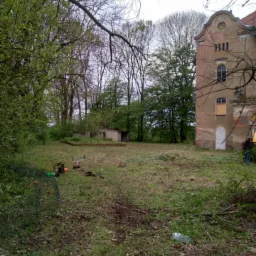 Teren po wycince drzew z pozostałościami gałęzi i pni, widoczny budynek w tle, narzędzia ogrodnicze porozrzucane na trawie.