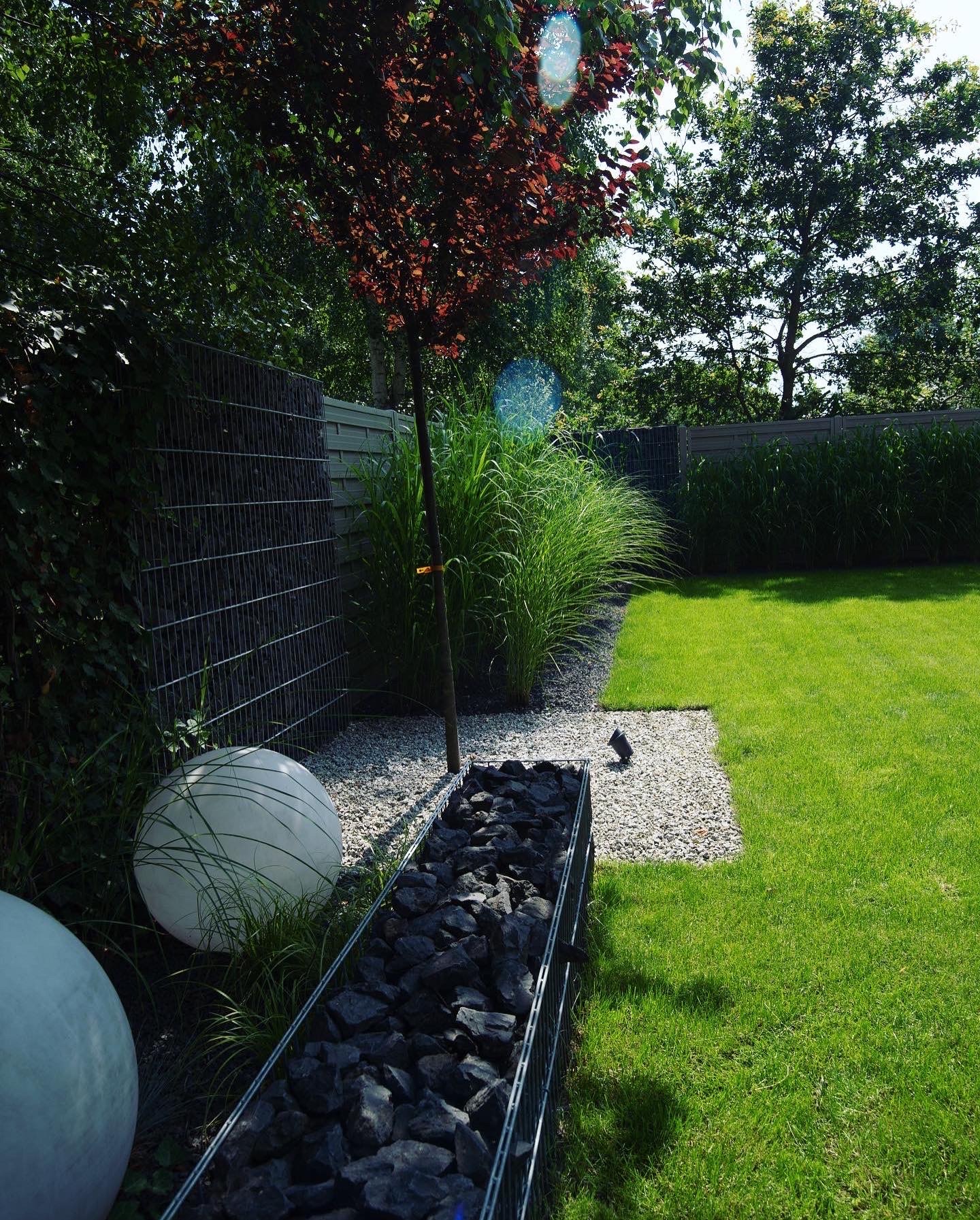 Nowoczesny ogród z równo przystrzyżonym trawnikiem, ozdobnymi trawami, gabionami wypełnionymi kamieniami, kulistymi lampami i drzewem o purpurowych liściach.