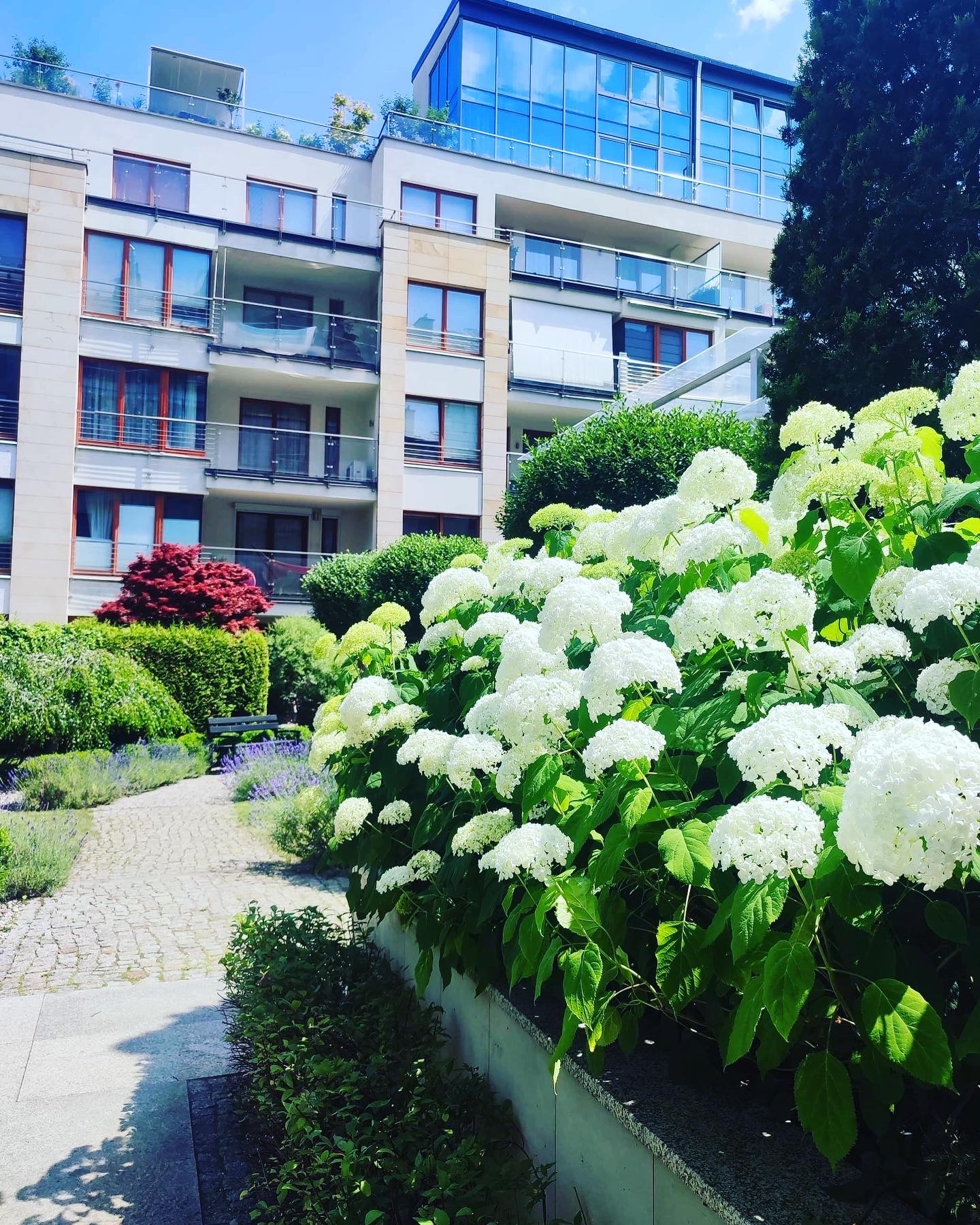 Pielęgnacja zieleni - Ogrody A&J