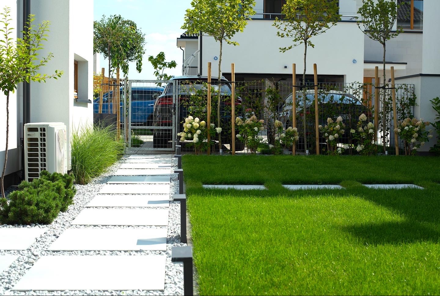 Nowoczesny ogród z trawnikiem, ścieżką z płyt na żwirze, ozdobnymi trawami, kwitnącymi hortensjami pnącymi się po metalowej siatce ogrodzenia oraz młodymi drzewkami z podparciem bambusowym.