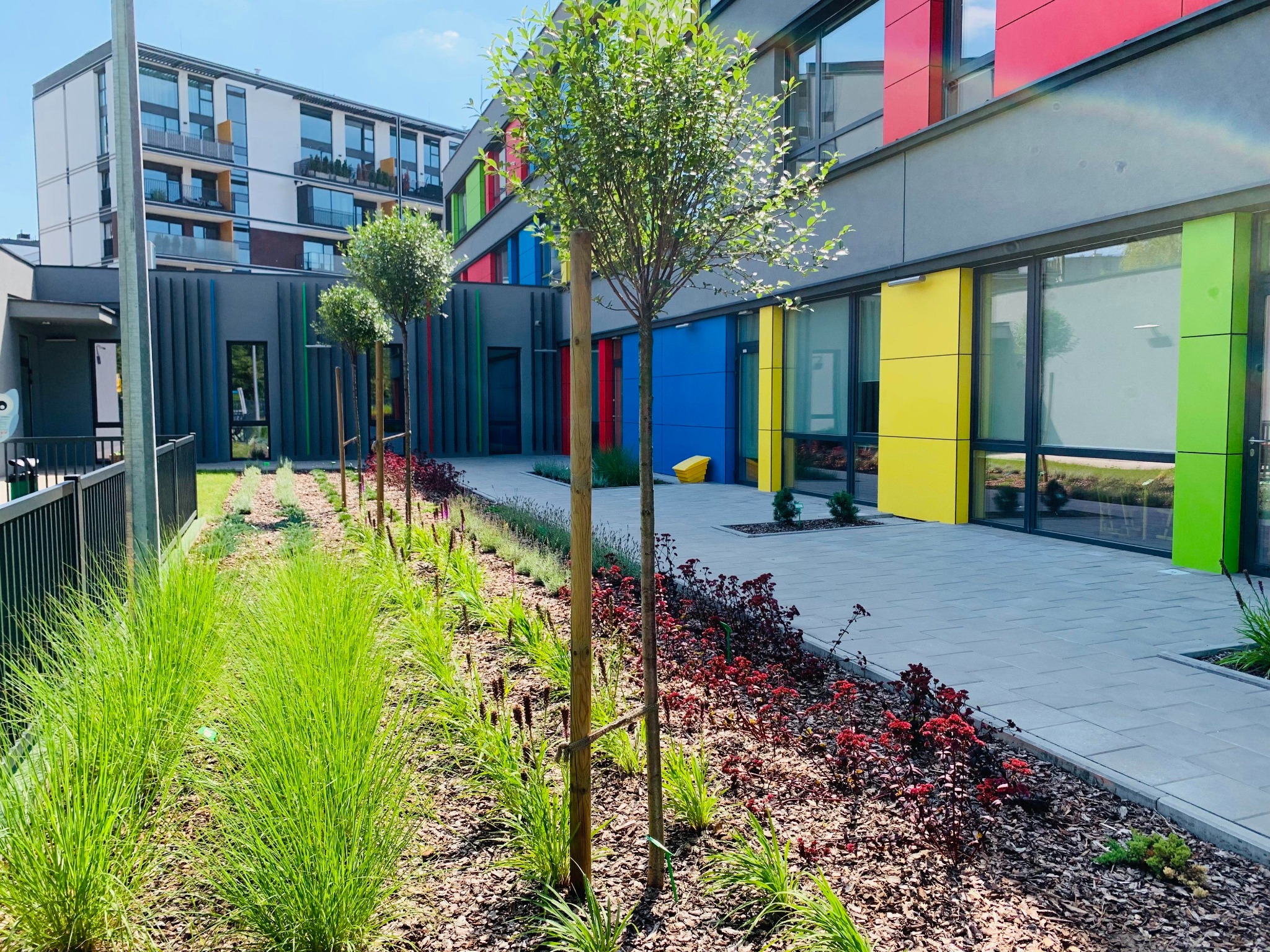 Nowoczesny ogród miejski z rzędem drzewek i ozdobnych traw wzdłuż kolorowej fasady budynku.
