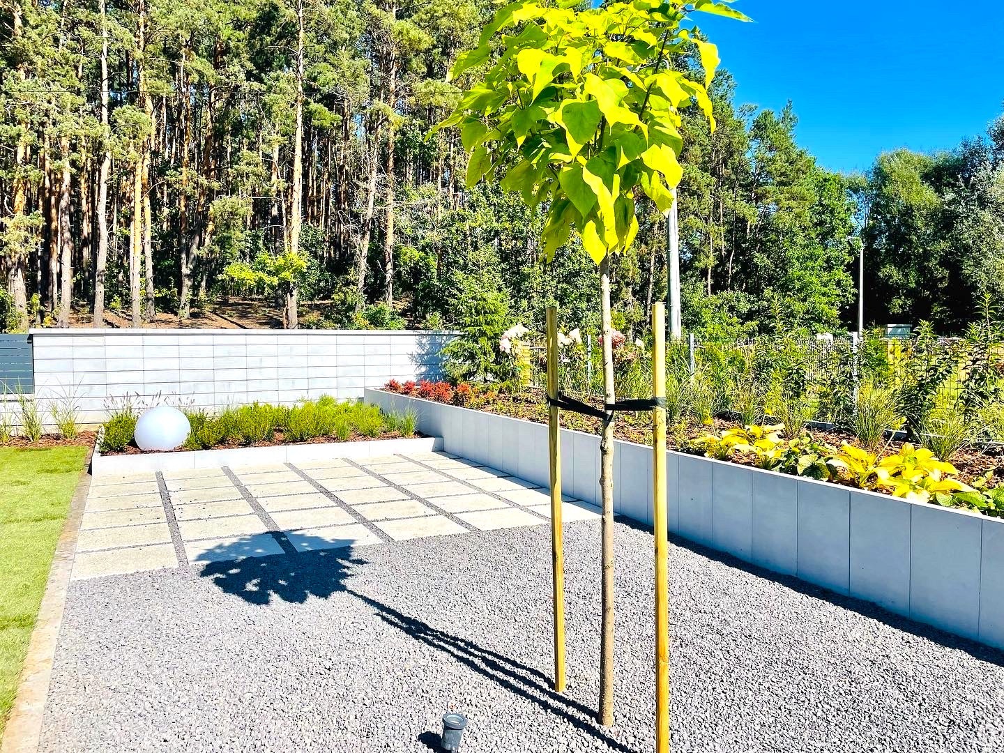 Młode drzewko podparte bambusowymi tyczkami w świeżo urządzonym ogrodzie z wysypanym żwirem, obok podwyższona rabata z roślinami wzdłuż białego murku, w tle las iglasty.