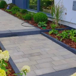 Ułożony chodnik z kostki brukowej wzdłuż rabaty z korą, ozdobiony hortensjami 'Annabelle' i różnorodną roślinnością, widok na elewację budynku z oknem.