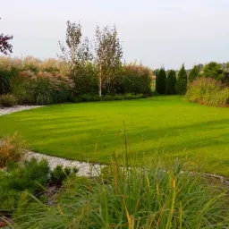 Zadbany ogród z równo przystrzyżonym trawnikiem, ozdobnymi trawami, drzewami i ścieżką z białego żwiru, oświetlony popołudniowym słońcem.