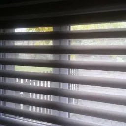 Zasłonięte rolety dzień noc w oknie, widok na zieleń za oknem. Rolety w odcieniach szarości, poziome pasy, częściowo przepuszczają światło dzienne.