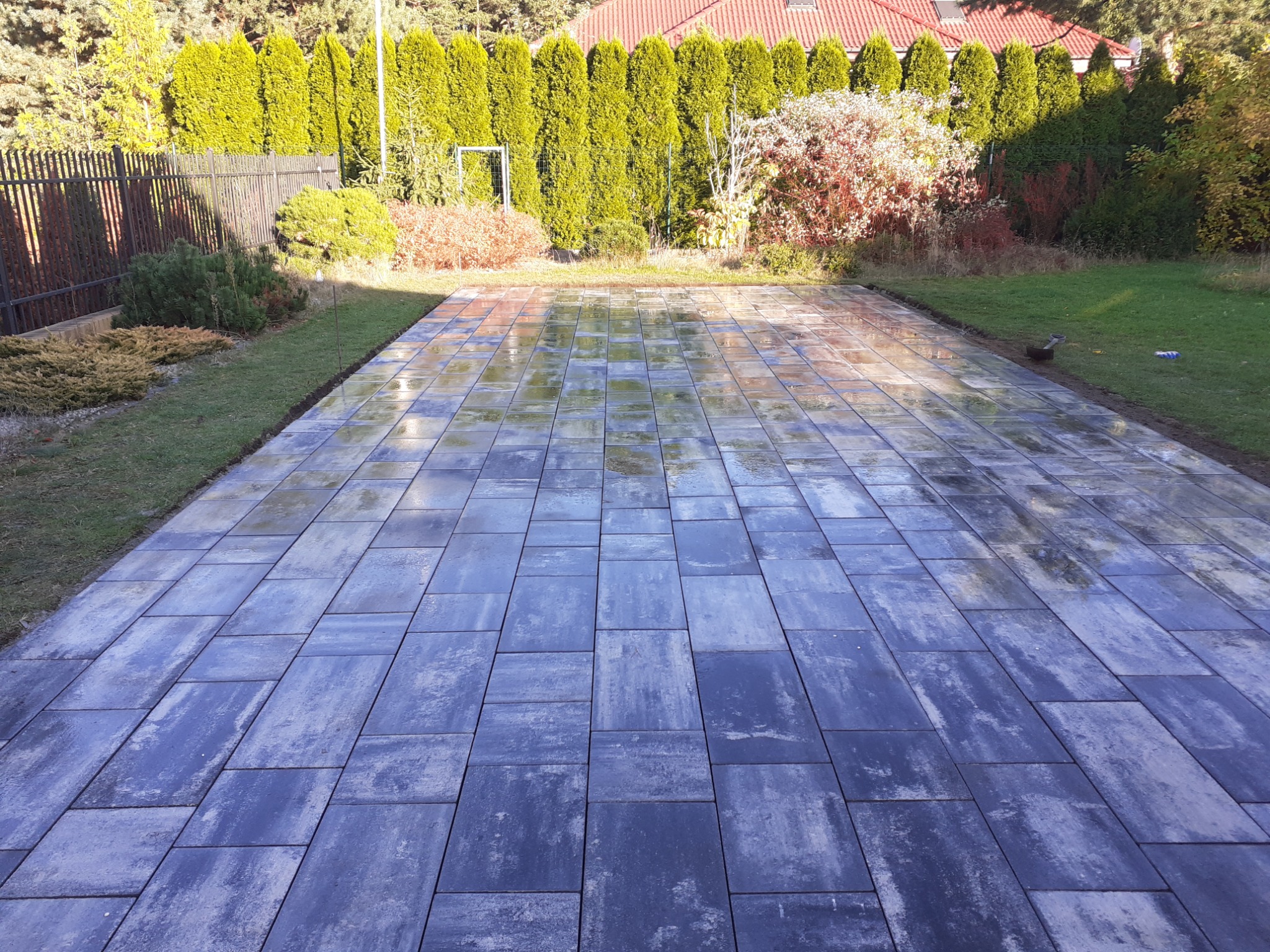 Świeżo ułożona, mokra kostka brukowa w odcieniach szarości i błękitu, z widocznym trawnikiem i tujami w tle, po deszczu.