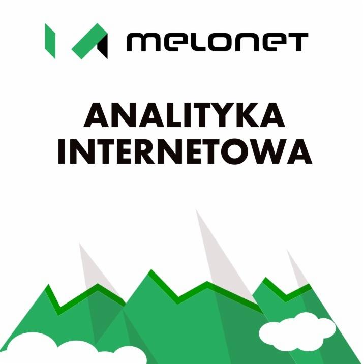 Analityka internetowa