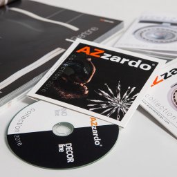 System identyfikacji wydawnictw dla firmy Azzardo.