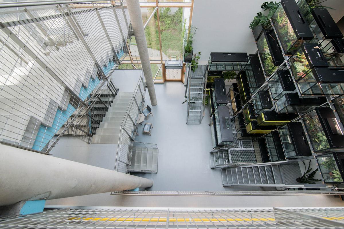 Widok z góry na przestronne wnętrze budynku uniwersyteckiego z szarą posadzką, metalowymi schodami i balustradami, oraz oryginalną instalacją z akwariami z roślinami na ścianie.