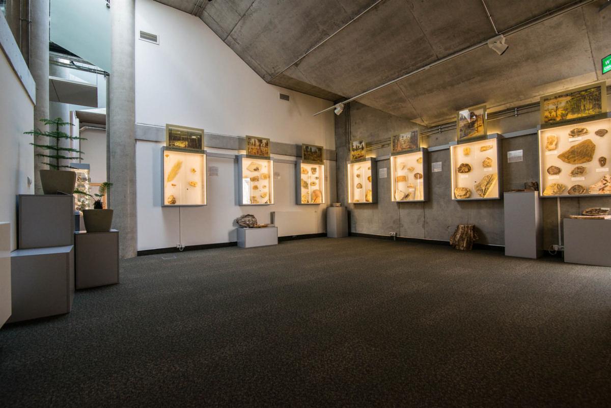 Ciemna wykładzina dywanowa w przestronnym holu uniwersyteckim z betonowym sufitem i ekspozycjami minerałów w podświetlanych gablotach.