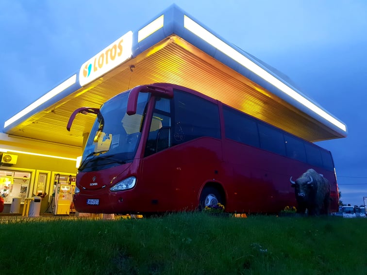 Czerwony autokar Scania zaparkowany przed stacją benzynową Lotos, z figurą żubra po prawej stronie.