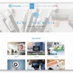Blue Eyes Media - Biuro Reklamy