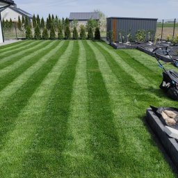 WE-GAM ALEKSANDER WĘGLARZ - Perfekcyjnie skoszony trawnik z wyraźnymi pasami, obok kosiarka. W tle rząd tuj i budynek. Nowo założona rabata z agrowłókniną i systemem nawadniania.