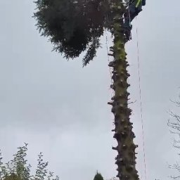 Pielęgnacja ogrodów Osielsko 2