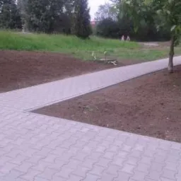 Świeżo ułożony chodnik z szarej kostki brukowej w kształcie litery T, otoczony przygotowanym terenem pod trawnik w parku.