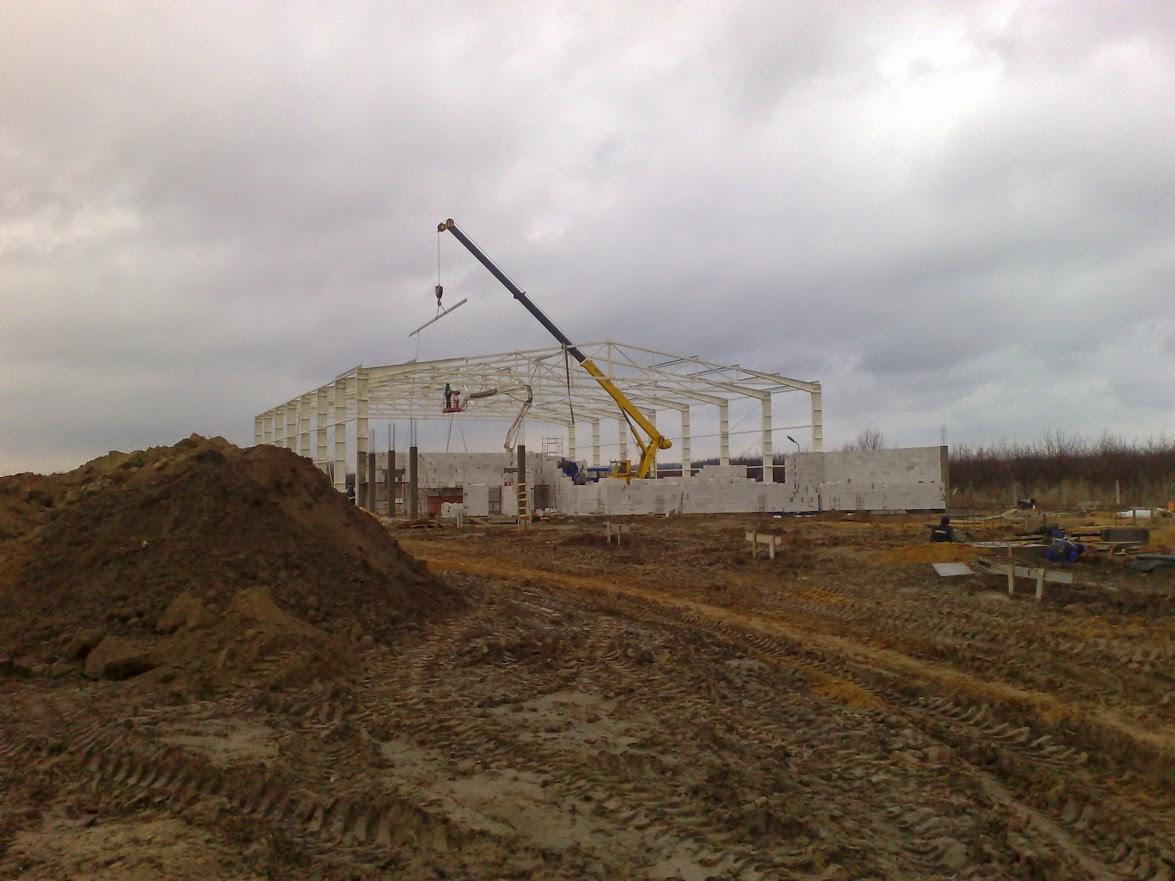 Budowa hali: montaż stalowej konstrukcji szkieletowej z użyciem dźwigu na placu budowy z widocznym stosem ziemi i częściowo wzniesionymi ścianami.