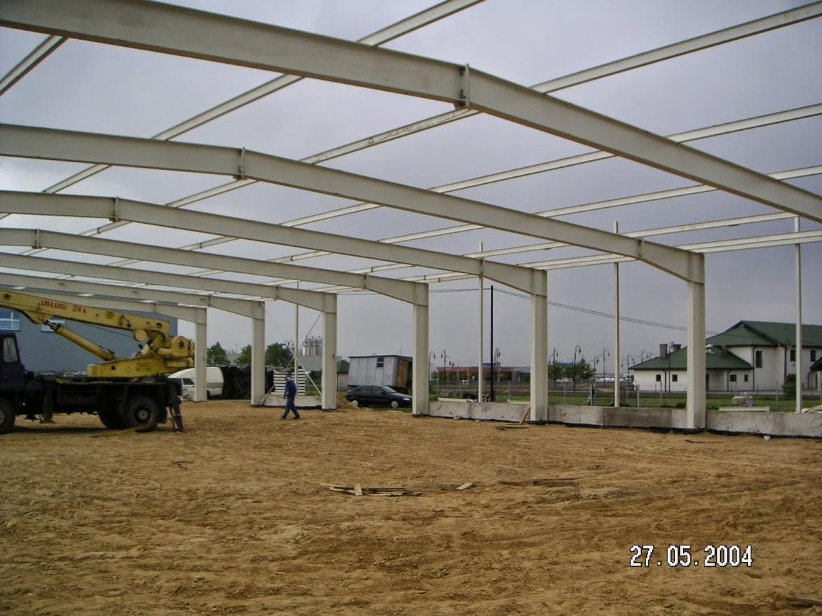 Wnętrze hali w budowie z widoczną stalową konstrukcją szkieletową, dźwigiem i osobą w oddali. Ziemiste podłoże i pochmurne niebo w tle.