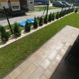 Świeżo założony trawnik z rolki obramowany kostką, z nasadzeniami młodych drzewek iglastych wzdłuż ogrodzenia, podsypanych białym grysem, na tle zaparkowanych samochodów.